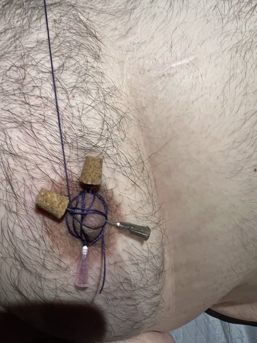 sometimes needles just make the best nipple clamps 🤷🏻&zwj;♀️ https://t.co/vCnWiqJ3FU<a href="/tag/ropes"class="tags"><span>#ropes</span></a><a href="/tag/dungeon"class="tags"><span>#dungeon</span></a>