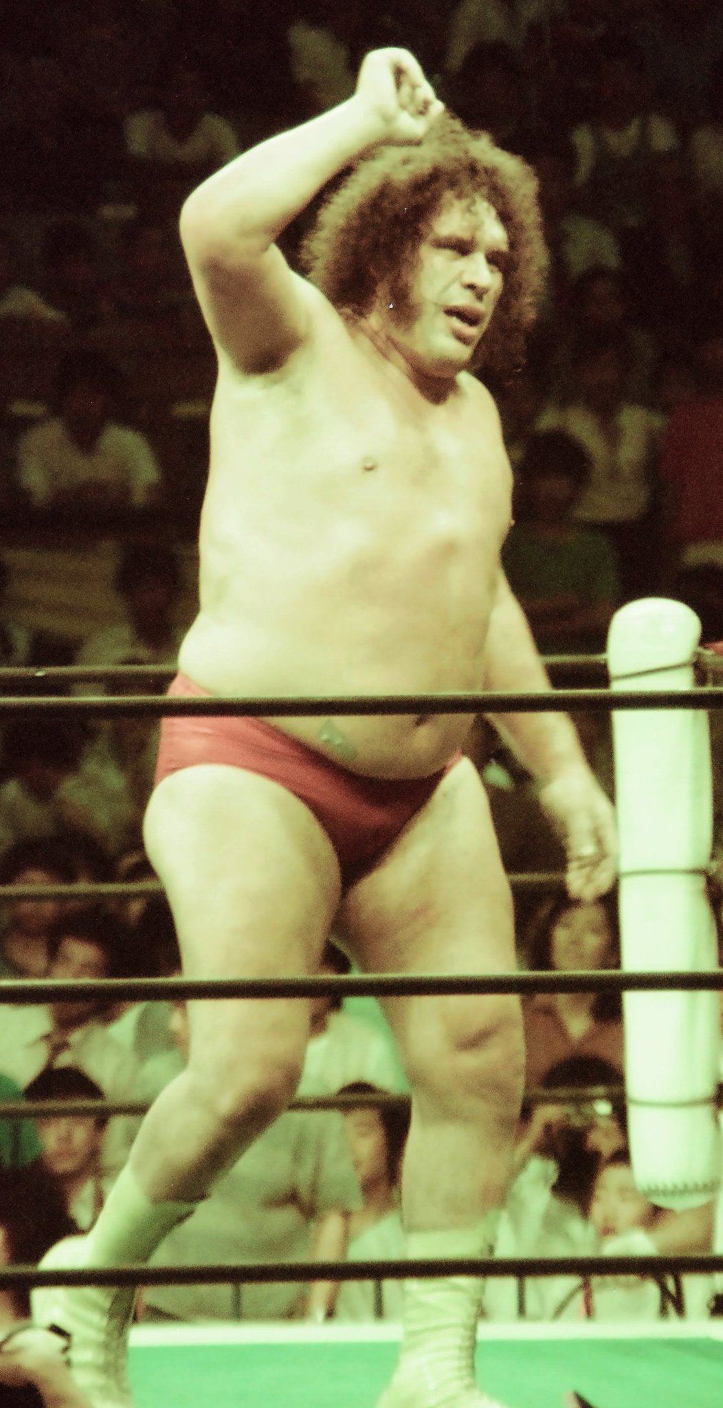   the Giant
Happy Birthday       