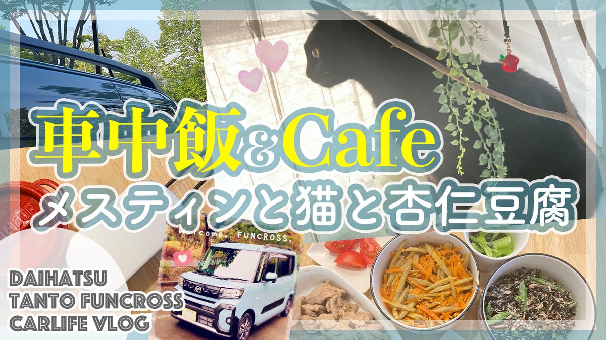 APPLECAT2022's tweet photo. 動画アップしました🎥今回はメスティン弁当とカルディのパンダ杏仁豆腐、車内に枝を持ち込んだり🌳、黒猫と一緒に過ごしたりしています🐈

https://t.co/TFCNlU40fi

 #車中カフェ #車中泊 #軽自動車 #carcafe #ファンクロス https://t.co/tZY5CjnlWK
