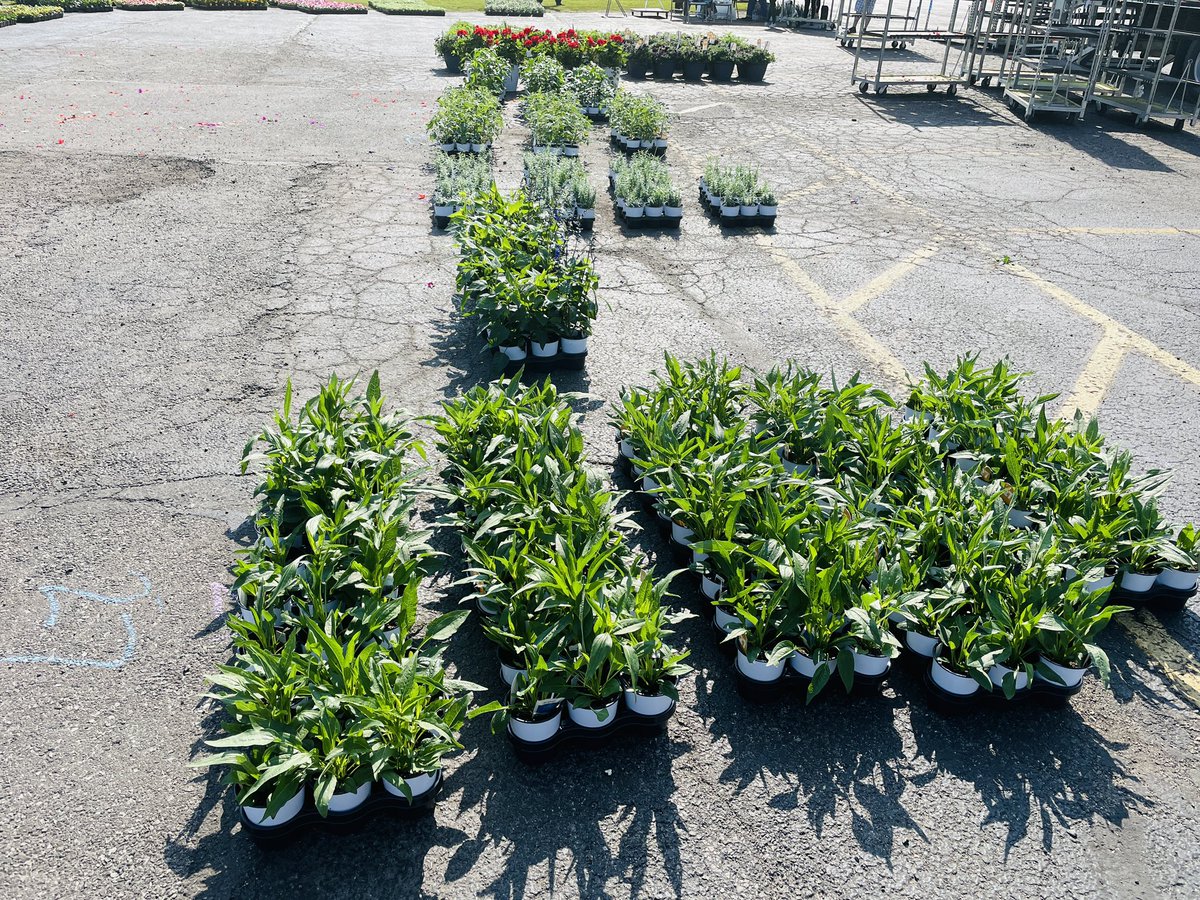🌸🌻This is what 1,110 plants looks like! Beautiful day for our super successful spring flower fundraiser pickup! 🌼🪻
#RushwoodRocks