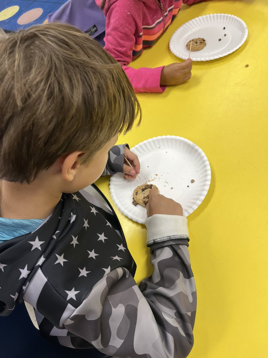 While learning about rocks and minerals, my students work with <a href="/bbrown_hes/">HES Mrs. Brown</a>’s class and dug for minerals. They used toothpicks and a chocolate chip cookie. The cookie represented Earth.