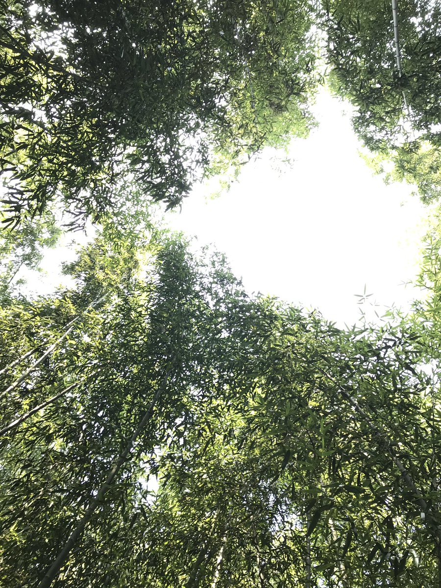 gasyukatsu's tweet photo. おはようございます😄

今日は午後から休暇なので
たっぷり栄養とり💪😁
ｿｼﾃ
安心してください😌
#Dont_worry(｡・‧̫・｡)ｏ🪄
しっかり #EAA9🥤
朝とって 👜にも忍ばせ
ましたからヽ(´∇`)ノ https://t.co/pWDTFfig6K