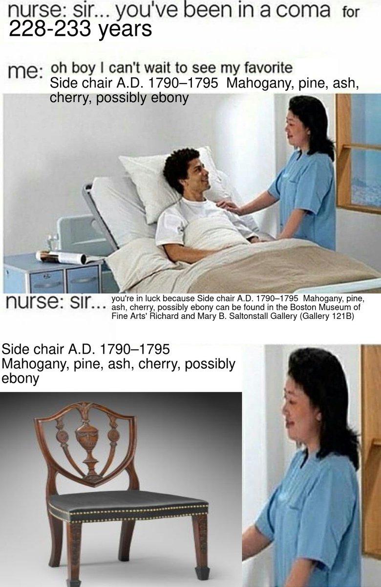 Side chair A.D. 1790–1795  Mahogany, pine, ash, cherry, possibly ebony