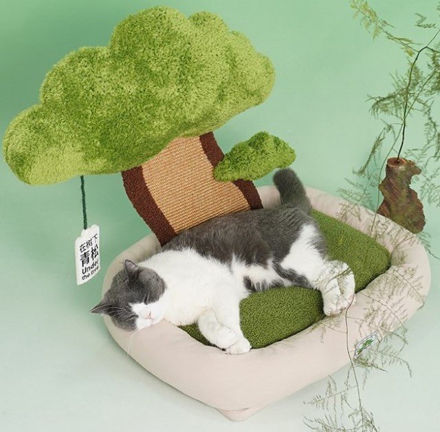 softness daily on Twitter "cat bed tree 🎀"