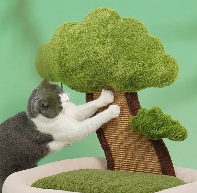 softness daily on Twitter "cat bed tree 🎀"