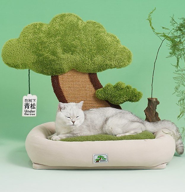 softness daily on Twitter "cat bed tree 🎀"