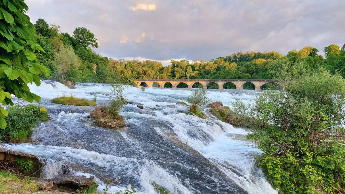 standseilbahnen's tweet photo. The Rhine Falls near Schaffhausen Switzerland - Rheinfall Schweiz 🙂😍
#rheinfall #rhinefalls #rhein #waterfall #wasserfall #natur #nature #tourism #visitit #hotspot #great #schweiz #switzerland https://t.co/wUbSXvishr