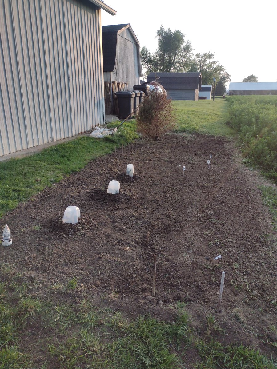 Cory Albers tweet media