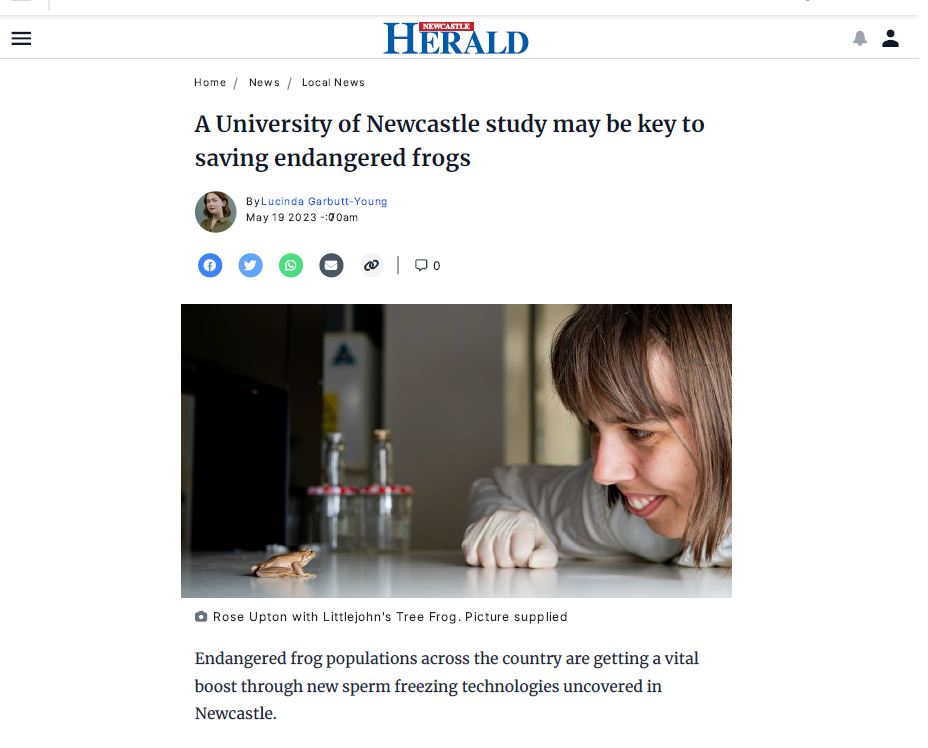 Conservation Science Research Group (@conservationuon) on Twitter photo Our Fearless Frozen Sperm Queen <a href="/Rose_Upton1/">Rose Upton</a> describes the sweet spot for #sperm #cryopreservation of some of Australia's most endangered #frogs
newcastleherald.com.au/story/8200589/… Our Fearless Frozen Sperm Queen <a href="/Rose_Upton1/">Rose Upton</a> describes the sweet spot for #sperm #cryopreservation of some of Australia's most endangered #frogs
newcastleherald.com.au/story/8200589/…