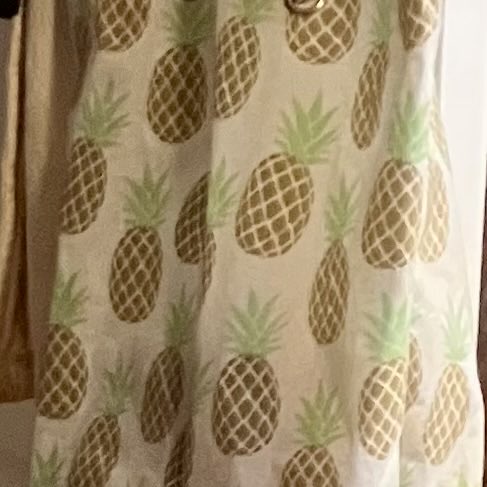 #pine #apple my secret stash involves the intention of the developers of the #worldwideweb = #FreedomOfInformationAct @JulianLennon did you know pineapple is a universal symbol of welcome & is great medicine for arthritis? Food. I don’t make rules around it.