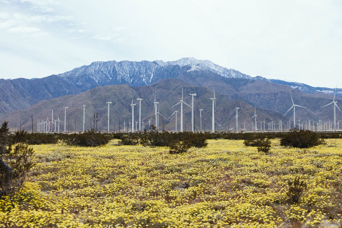 beed_co_'s tweet image. #RollWithUs to check out #DesertX, the #BombayBeachBiennale &amp;amp; some of this year's #SuperBloom with @LAustin_. 

#FreshFastFun #FindYourBEED