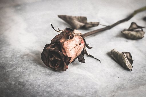 ''Hiçbir şey sonsuza kadar devam edemez, her şey geçer.''

Virginia Woolf