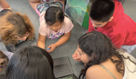 Walsh 7-Grade Dual language program students visited the students @ Barbieri Elementary School.  They read books and did fun activities together
