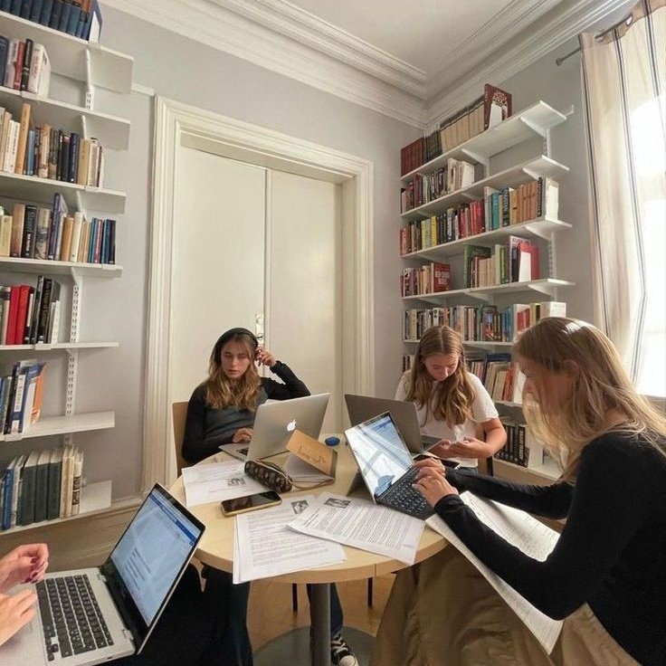 charoutine's tweet image. hello! i am not new to #studytwt and #collegetwt, and i am looking for study mutuals &amp;amp; studybunny 

about me :
◦she/her 🏳️‍⚧️
◦2nd year of pharmacy 
◦undergraduate researcher in immunology 
◦english / portuguese-brazil 
◦♡ : lana, björk, fiona apple, science, cats