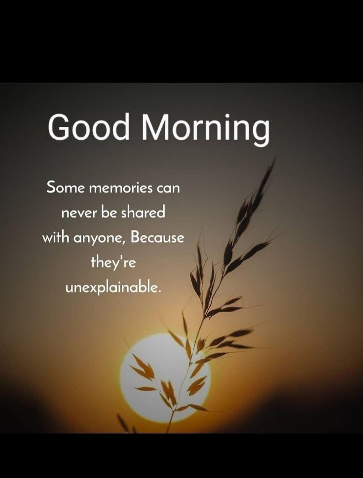 Vinoliav95's tweet photo. Good morning guys 😘😍🙏 Happy Friday we love you sir SRK🥰 👌😄 @iamsrk #MyLifeInDesign 🔥
@TajLandsEnd 💐 🌹♥️@SRKUniverse #Jawan #Dunki
@BrijwaSRKman @SRKsGopal @TheSRKWarriors @Kyawtha14933443
@gaurikhan @BeingSuhanaKhan https://t.co/Ox0BQZ20Nt
