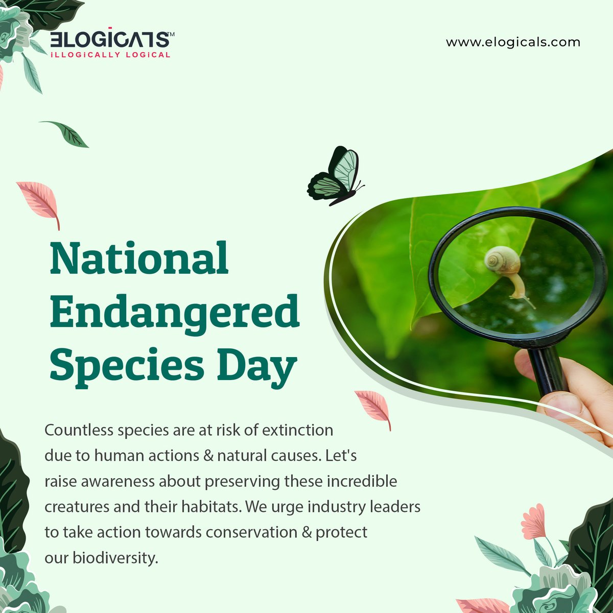 MetaMarketInfo's tweet photo. Countless species are at risk of extinction due to human actions & natural causes. Let's raise awareness about preserving these incredible creatures and their habitats. We urge industry leaders to take action towards conservation & protect our biodiversity.
#NESDay #Elogicals https://t.co/DHEHb0YmGS