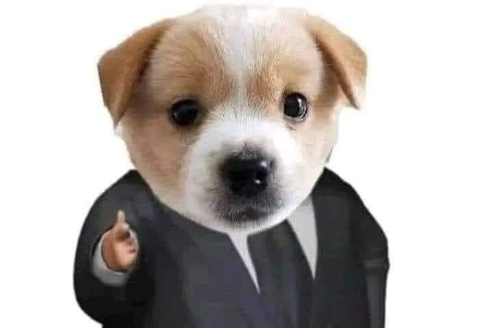 สวัสดีครับเขียดผู้มีแกกที่มาร่วมงานแต่ง