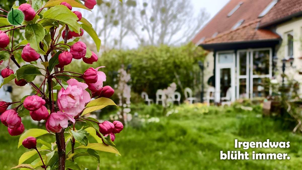 kultumea's tweet photo. Irgendwas blüht immer. In einem vielfältigen Ökosystem. Welche Bedeutung hat das für ein erfülltes und glückliches Leben? #seminarhaus #retreat #refugium #kulturgutleben https://t.co/DeNlv2Y2Gu