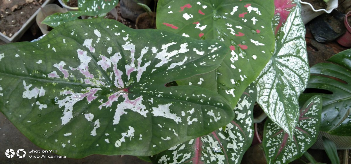 Spending my bday with my plants!!!