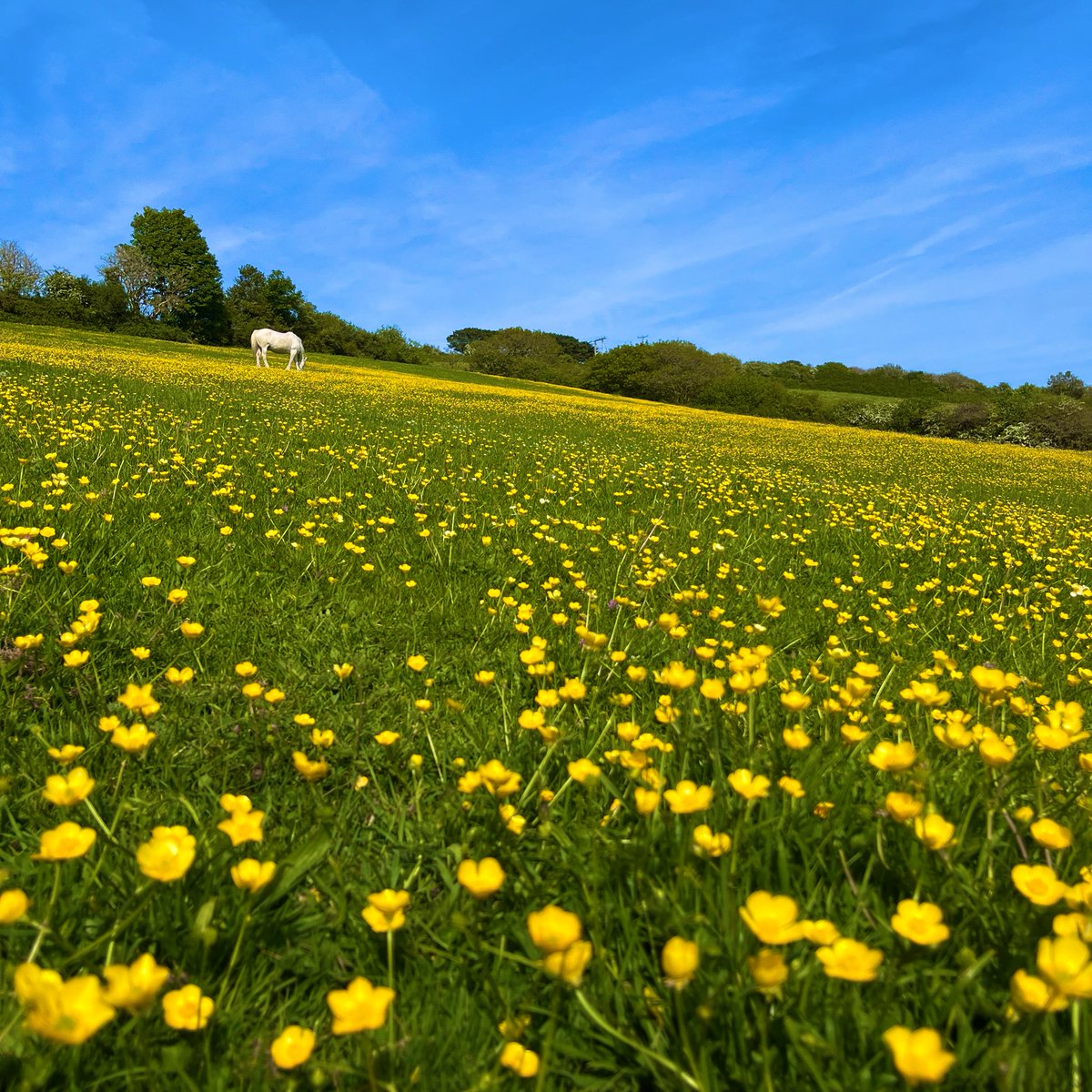 James Churchfield tweet media