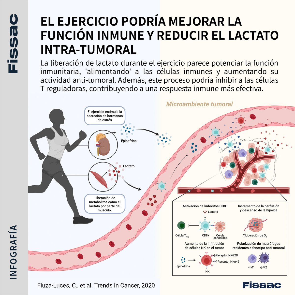 Fissac - Fisiología, salud y actividad física en LinkedIn: 💊+