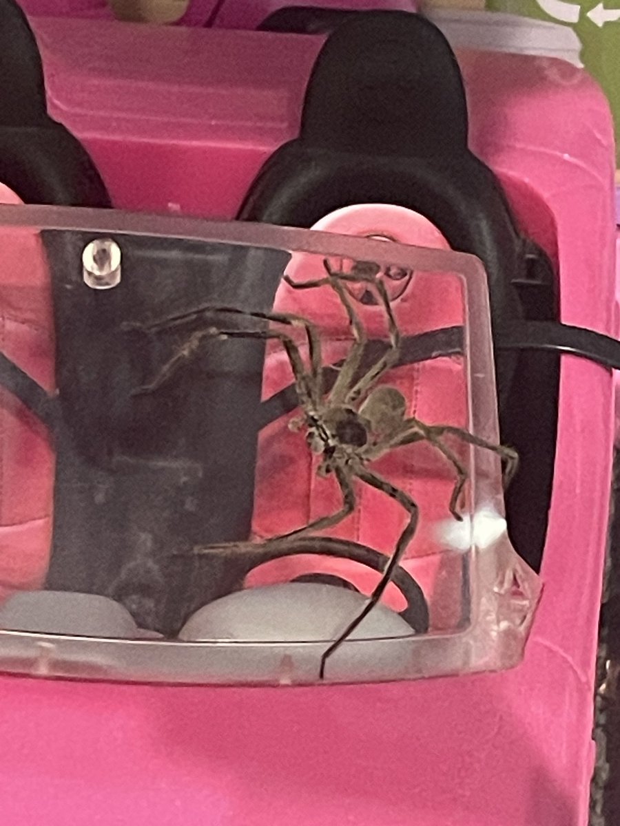 Grant Schubert tweet media