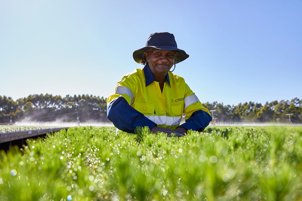 Forest Products Commission tweet media