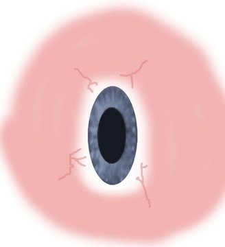 EyeTexture's tweet image. 