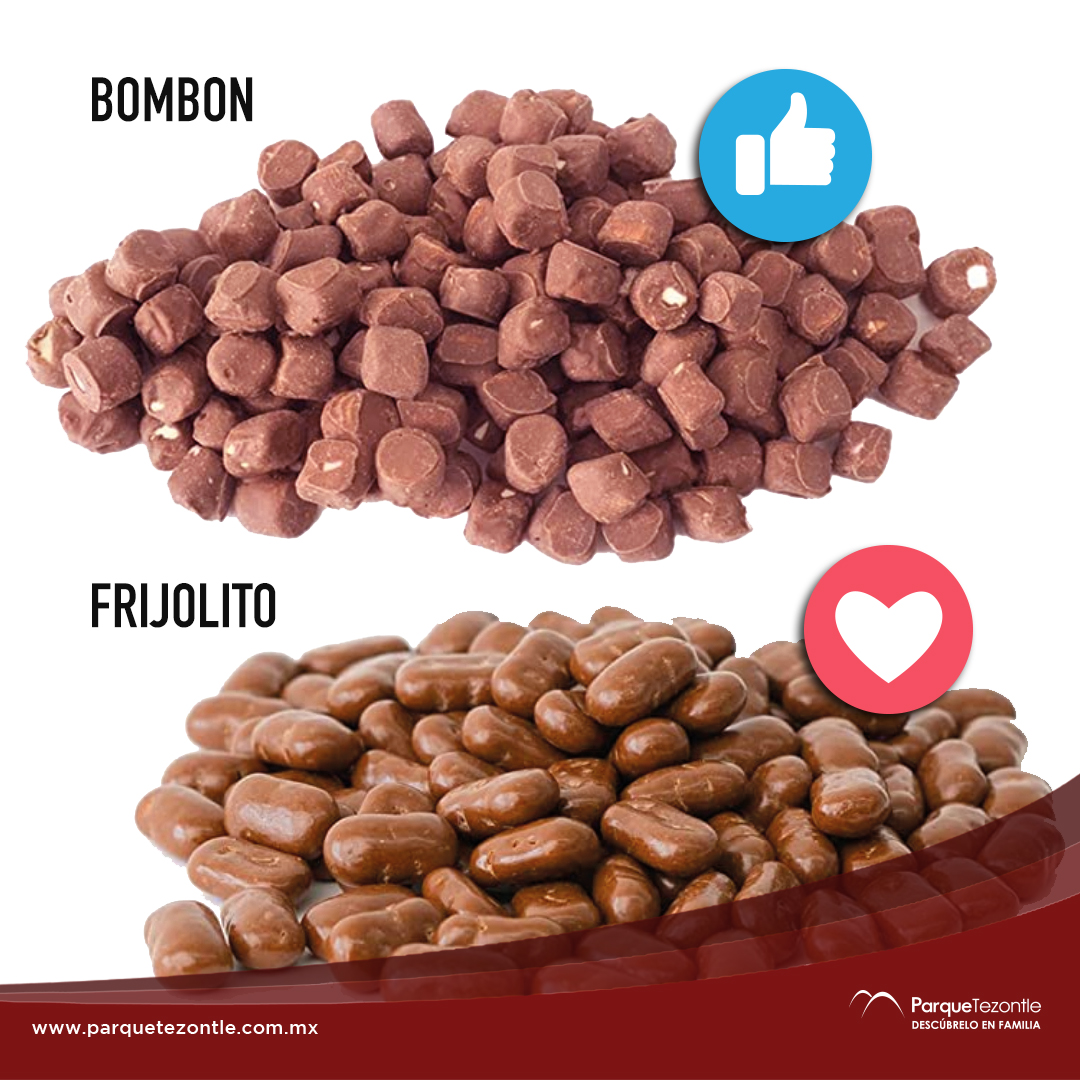parque_tezontle's tweet image. 😱...

#bombones
#Frijolitos
#votaciones