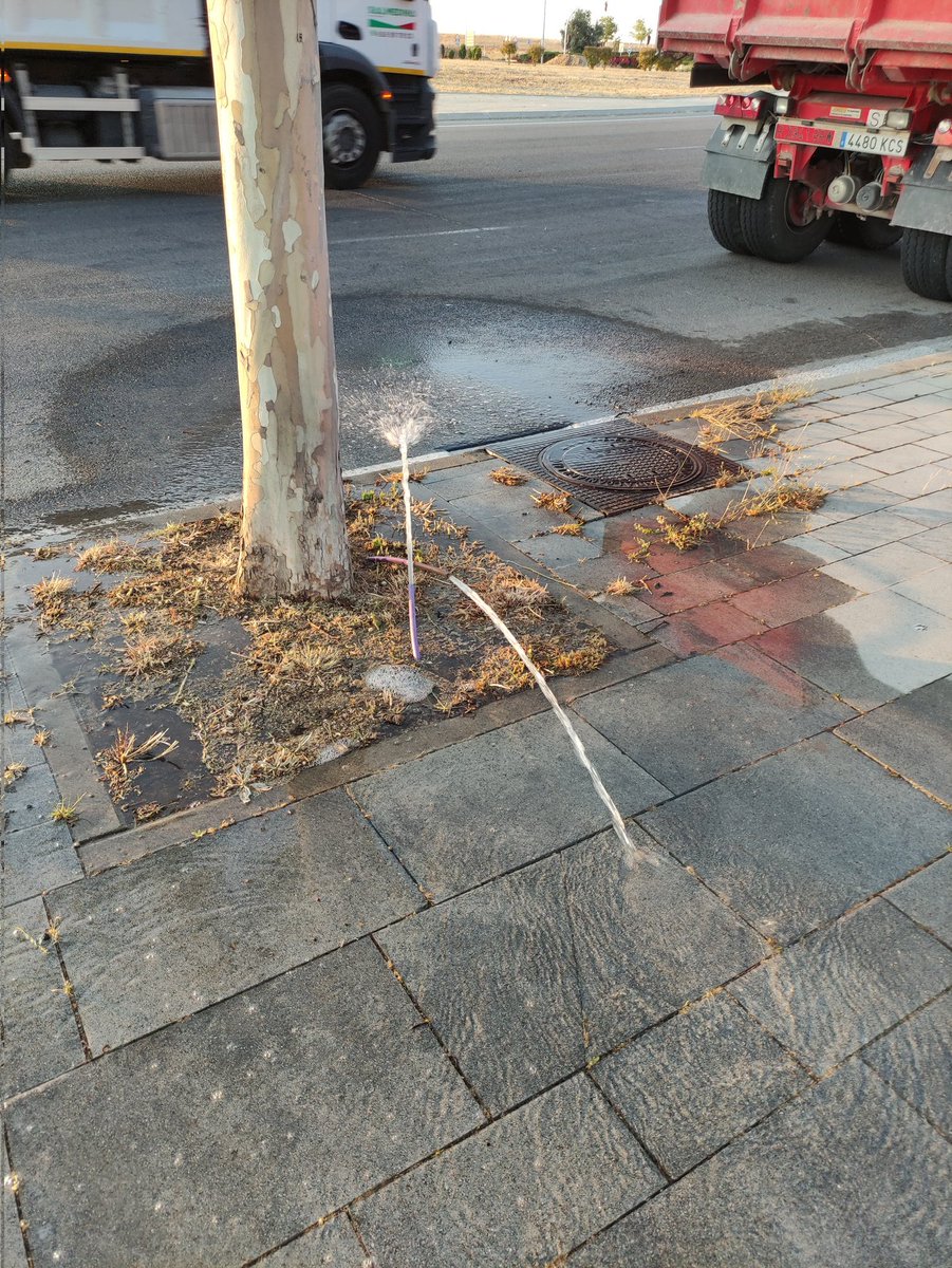 chanly307's tweet photo. Tubería de riego partida y echando agua sin parar, en la glorieta Isidro González Velázquez @Lineamadrid
Los que has desbrozado lo han hecho regulinchis https://t.co/Vm1tGrpHoI