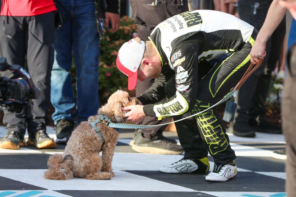nascarcasm's tweet photo. Hear me out - mandatory Victory Lane dogs. If you do not bring your dog to Victory Lane, you receive a points penalty. If you do not have a dog, one will be provided to you. No cats. Cats hate everything. #NASCAR75 https://t.co/hqwBHYqYAA