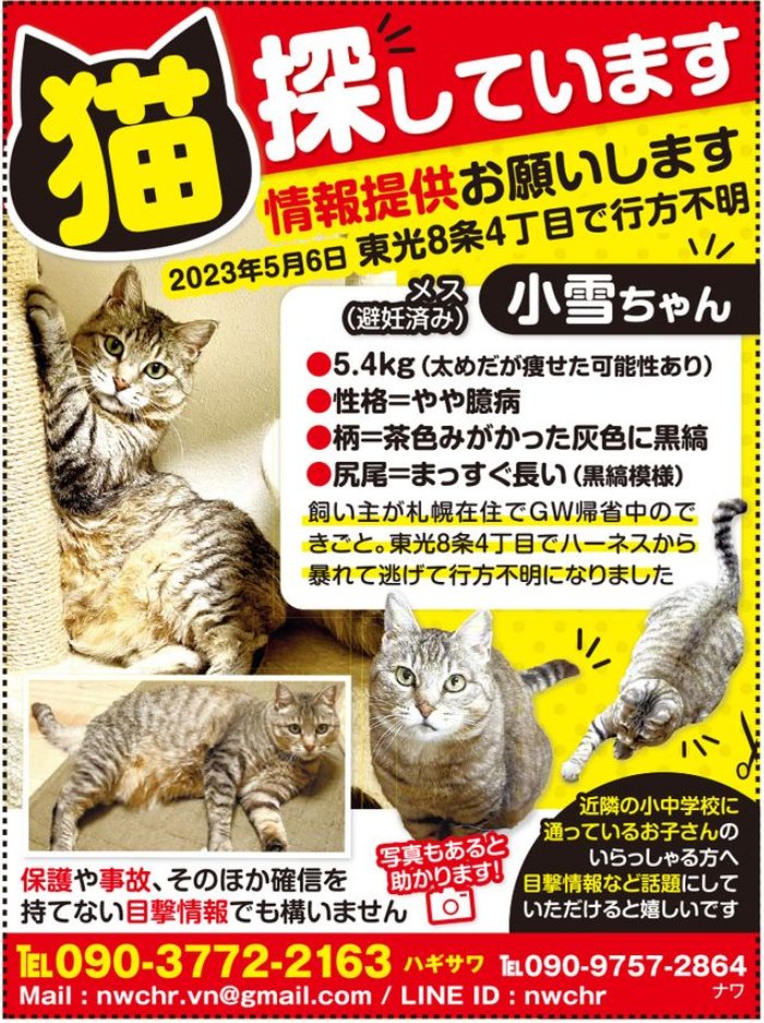 LINER_asahikawa's tweet photo. みんなの力を貸してあげて。
5月6日、旭川市東光から行方不明になったそう。
GWの帰省中のできごとで、土地勘のない場所で迷子になってしまったんだって。
小雪ちゃんが早くおうちに帰れますように。
#探し猫 #迷子猫 #迷子猫 #迷子 #猫 #行方不明 #旭川市 #旭川 #旭川Twitter会 #ペット #拡散希望 https://t.co/vuBdeRFBBq