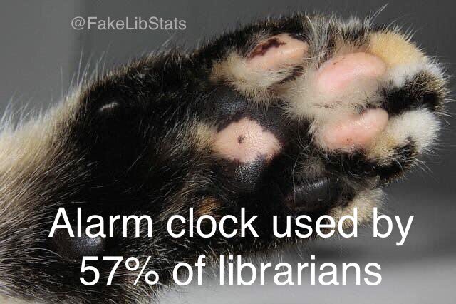 Fake Library Statistics tweet media