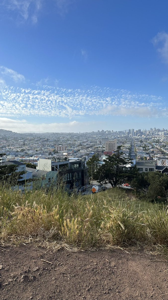 saluteAUT's tweet image. carne asada burrito from el farolito, 10/10
this view, 10/10
guava jarritos: 7/10