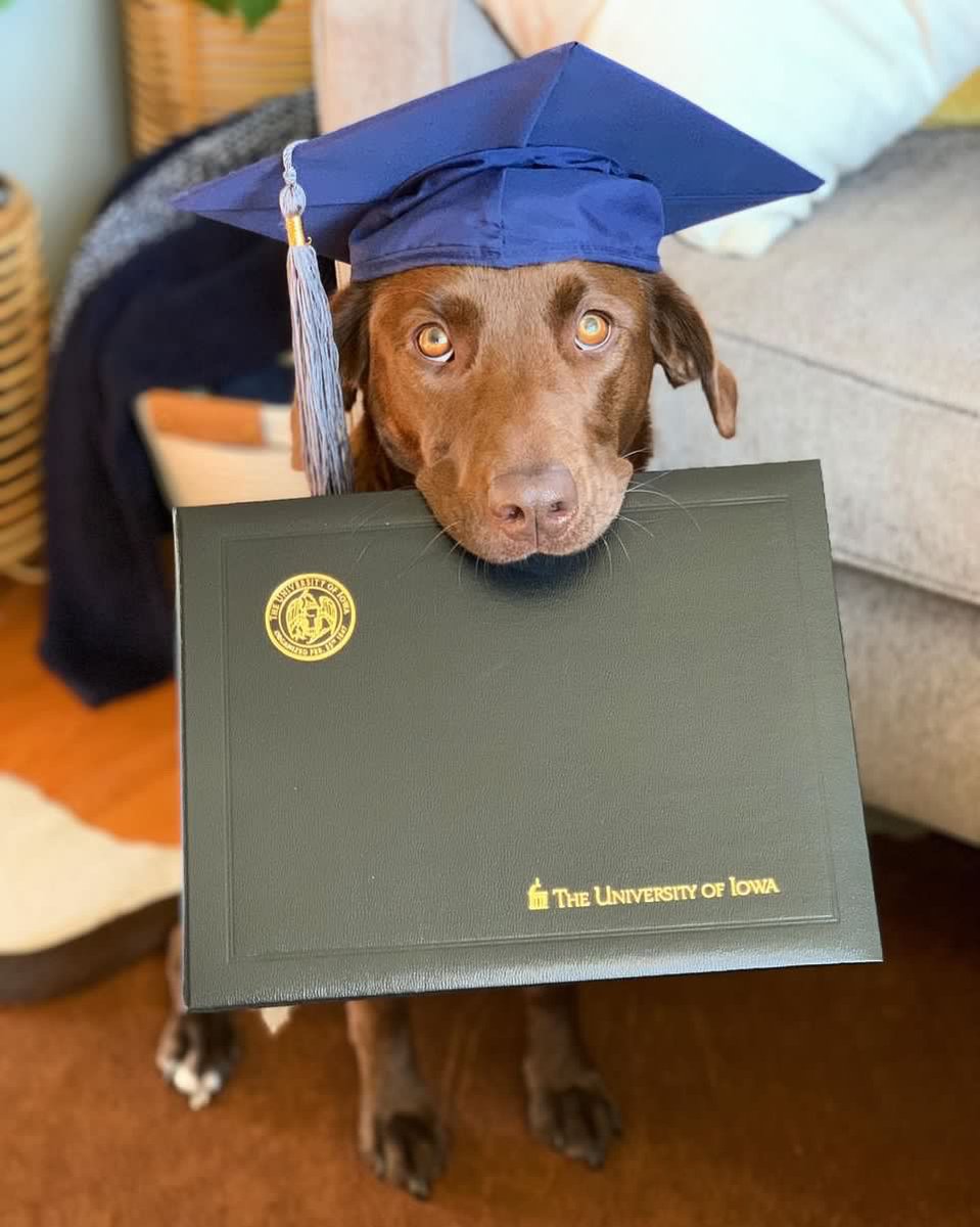 uiowa's tweet photo. The pawsabilities are endless 🐾 https://t.co/z5IqOXu9BT