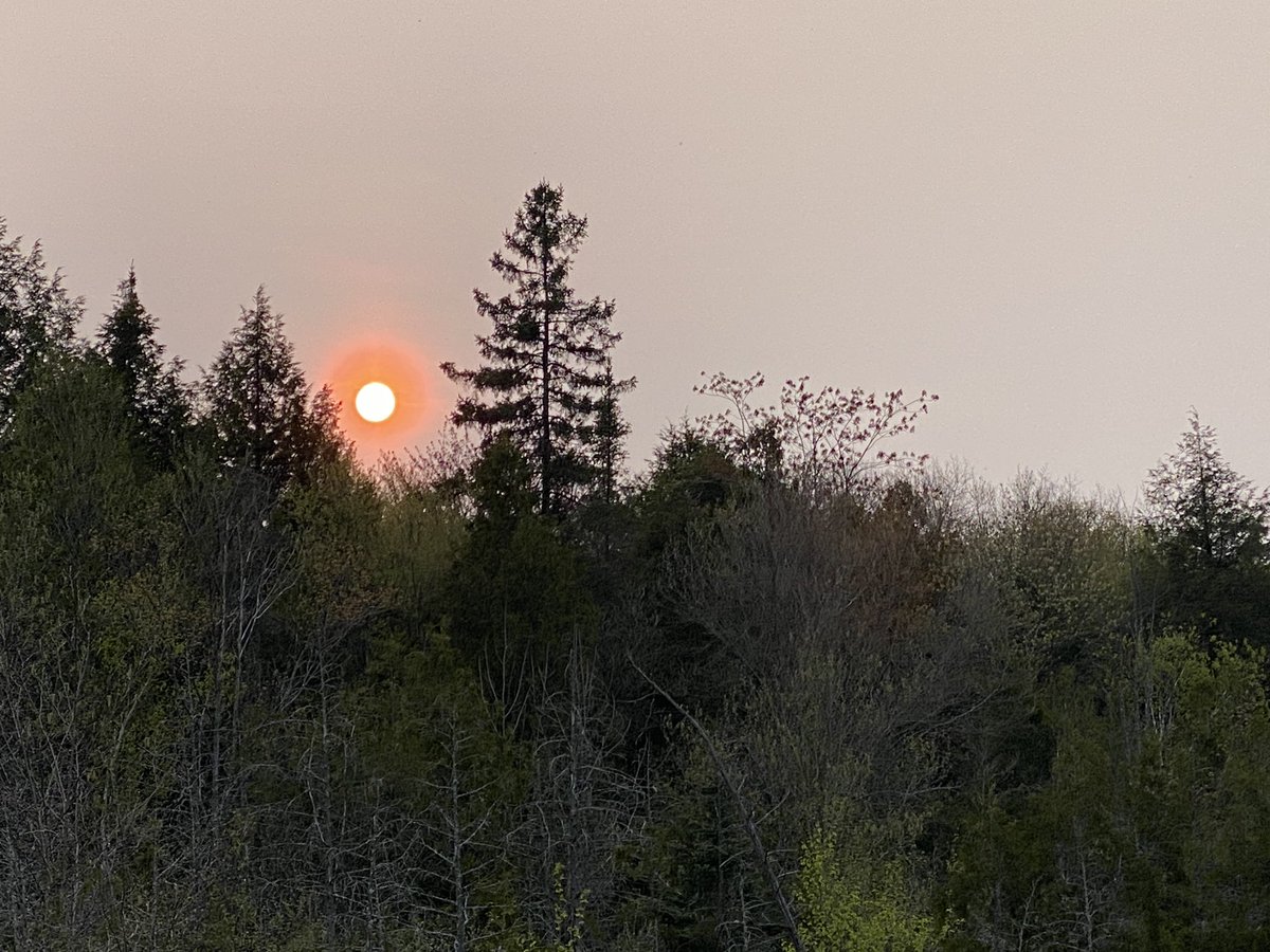 Smoky sunset… in near-north Ont from fires in Alberta. #climatechange #albertafire