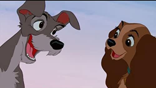 WineandFilmLady's tweet image. #TheLadyandtheTramp #WaltDisneyPictures
@ABC7 @ArchDaily @vino_con_vista @ItalyMagazine @nytimes @Telmex @TELMEXSoluciona