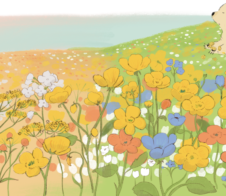 「夏の新刊絵本が着々と進んでいてワクワク・・・季節の移ろい・・・ とても素敵なお話」|ももろ　4／20発売絵本「パンダのパクパクきせつのごはん」のイラスト