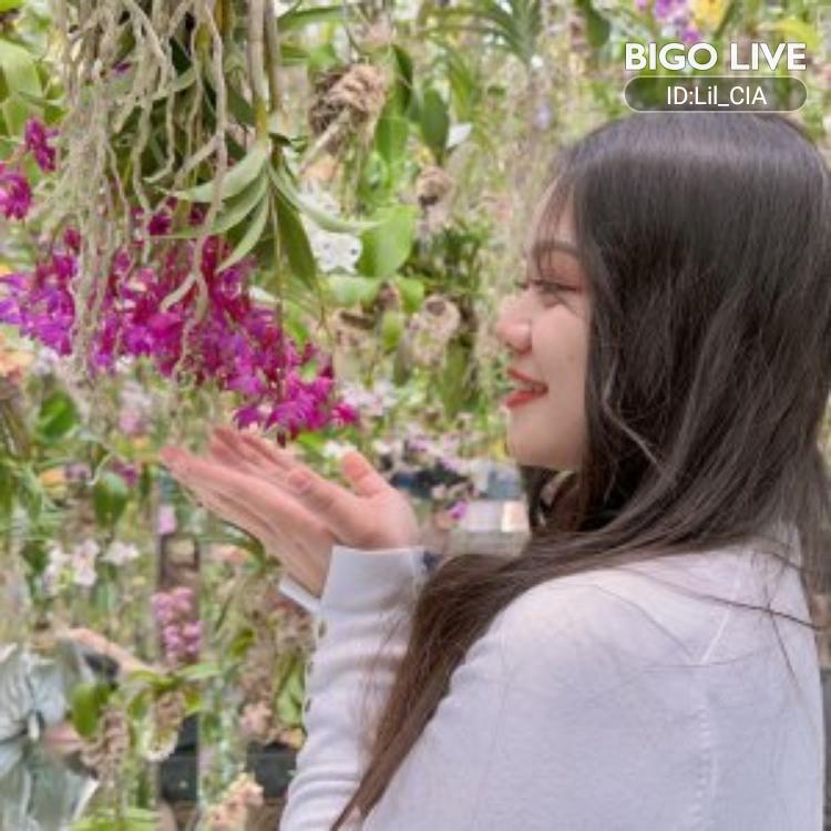 BeeeBlock's tweet image. Venha assistir a livestream doCia🏖️ no #BIGOLIVE e faça novos amigos! slink.bigovideo.tv/jPKPnm