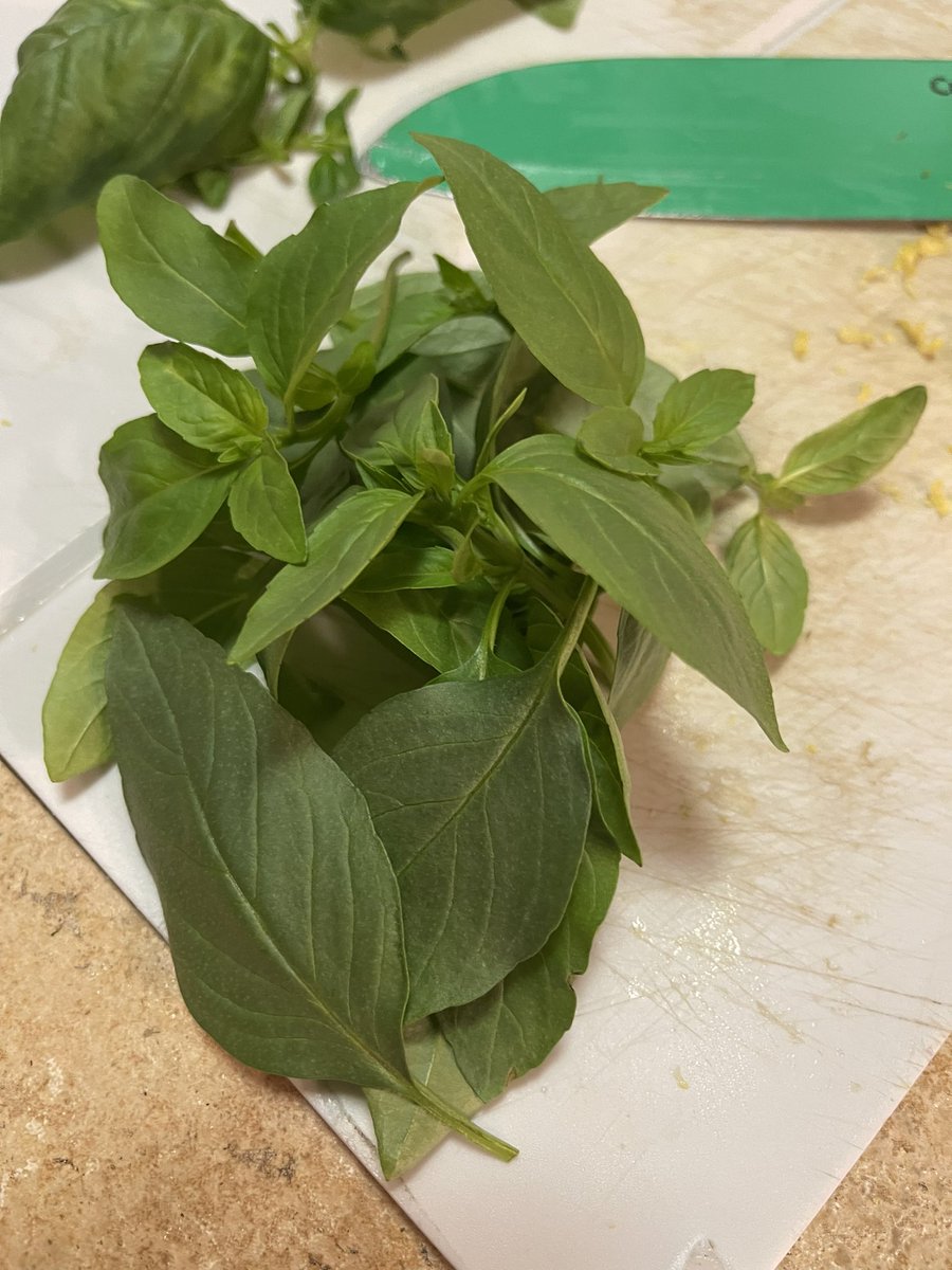My genovese basil and Thai basil from my hydroponic garden.