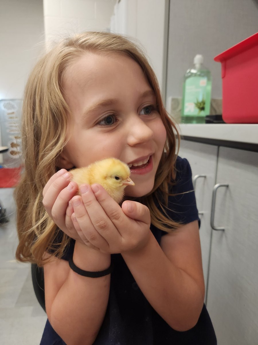 Mrs. Mulkerne’s class and their babies!