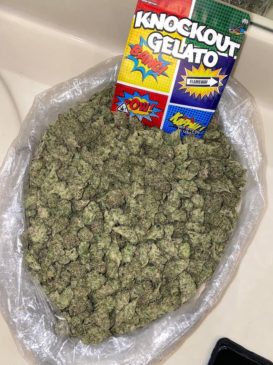 Knockout Gelato 🥊 ☑️
800$
#Weedmob #cannabisculture #Mmemberville #cannabisusa #Weed #growyourown #420community #CannabisCommunity #cannabisindustry #cannabisculture