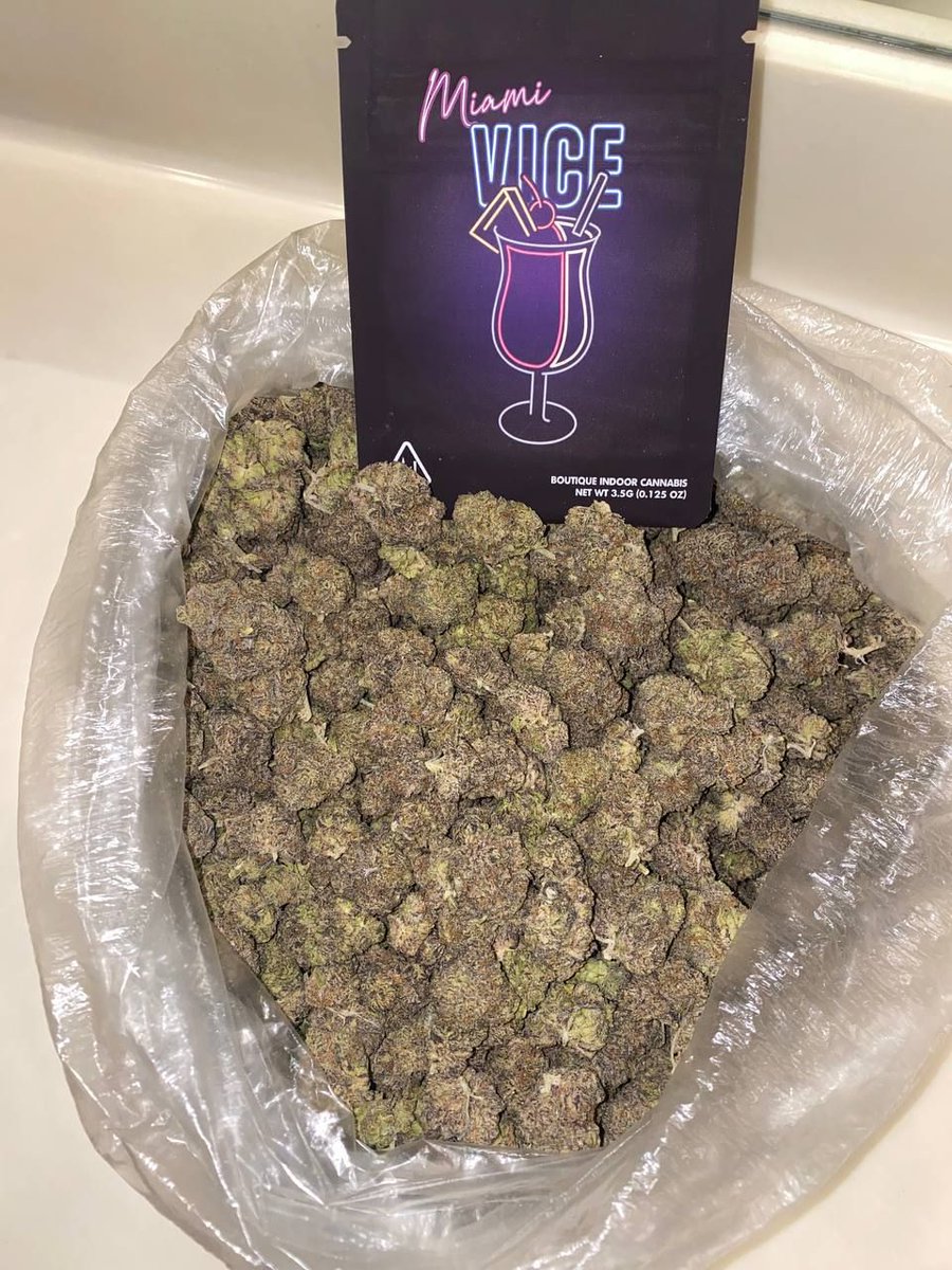Miami Vice 🍹☑️
$1350 lb
#Weedmob #cannabisculture #Mmemberville #cannabisusa #Weed #growyourown #420community #CannabisCommunity #cannabisindustry #cannabisculture