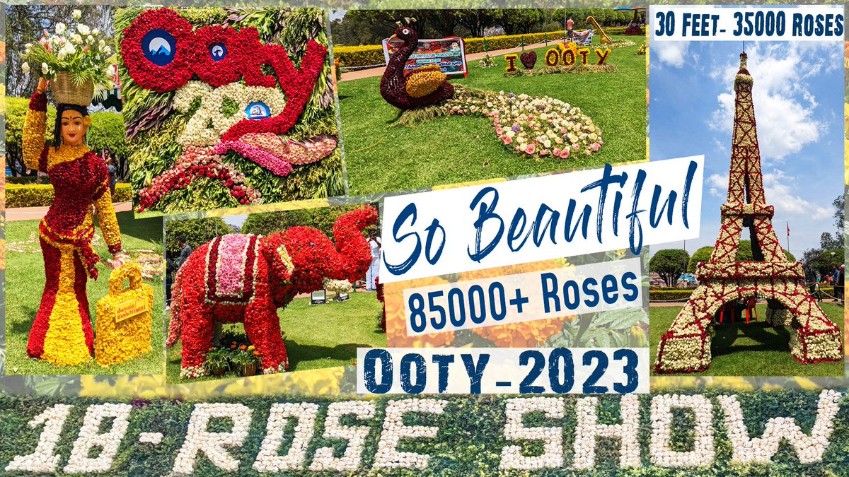 Ooty Rose Show 2023 #nilgiris #ooty #flowershow