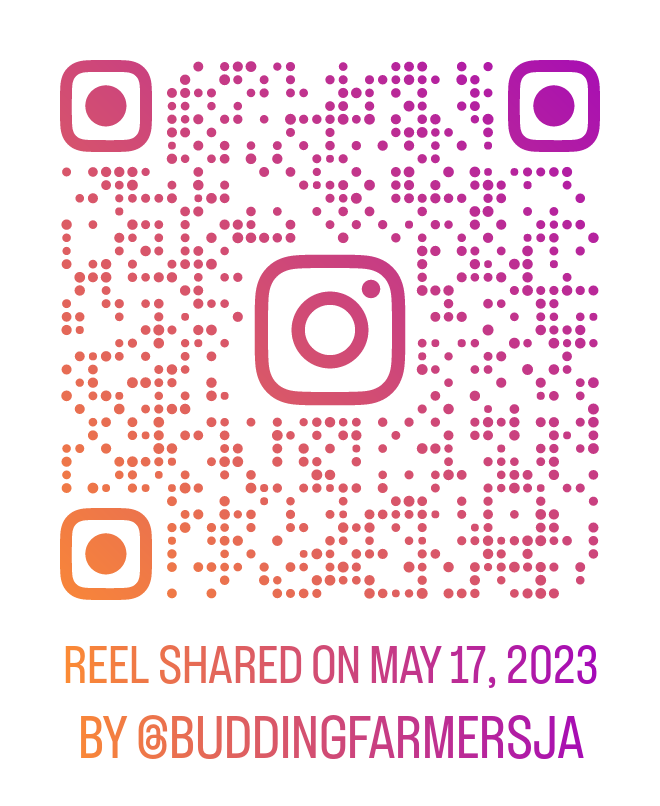 Exciting times ahead! Scan or visit to see! #buddingfarmers #summergrowcamp #kidsclub #2023