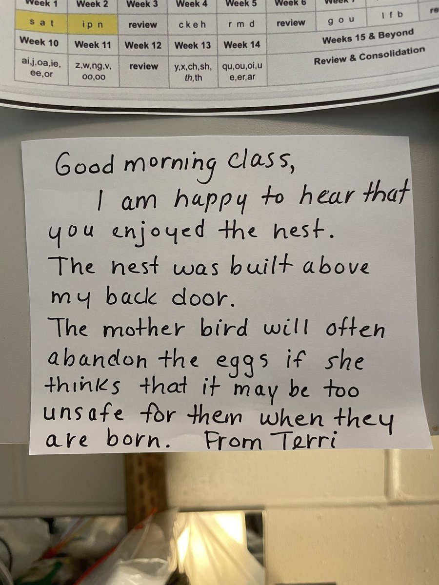 GarrisonRoad's tweet photo. Terry our night time care taker left us a nest with bird eggs in it. The next morning we make predictions about what we thought happened to the mama bird. So many theories. She left us a note the next day explaining what happened! @dsbn @mallorymilton #Kindergarten https://t.co/w2SpciqUKY