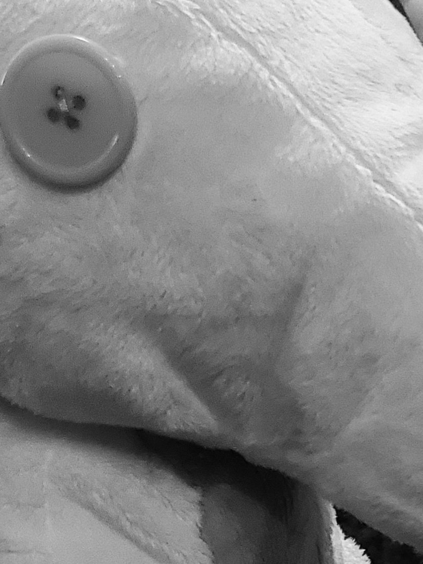 witchpumpkinSTR's tweet photo. COMING SOON... SHOP RE-OPENING!!!!!!!
Can you guess who it is?
#Homestuck #scalemate #homestuckplush #scalemateplush #terezi #tereziplush #pyrope https://t.co/VjfdE8zMD3