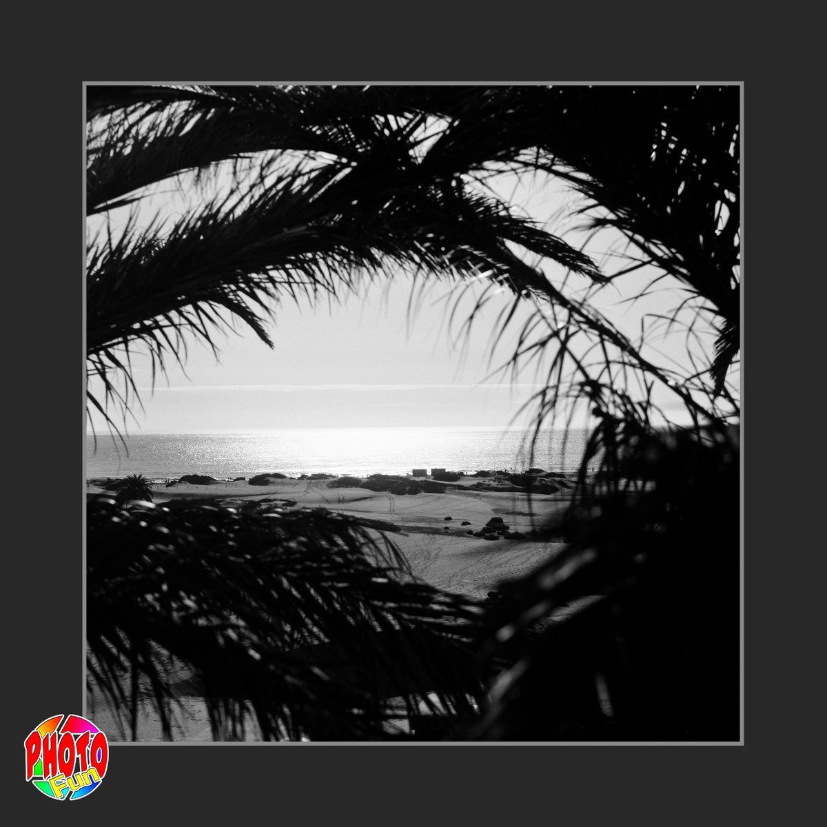PhotoFunGC's tweet photo. Agfa Isolette V 1961 Lomography Earl Grey 100 120 Playa del Ingles #agfa #isolette #1961 #lomography #earlgrey100 #120rollfilm #playadelingles #grancanaria #analogphotography #photography #photofun https://t.co/PTrrKjCUyW