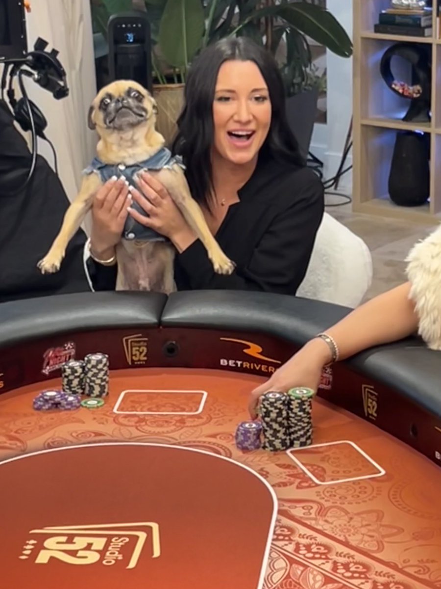 PokerNight_Todd's tweet photo. Sorry but no you can’t bet a pug ⁦@VegasHayls⁩ ⁦@PokerNightTV⁩ #studio52 #ladiesnight https://t.co/24CNHDIB5c