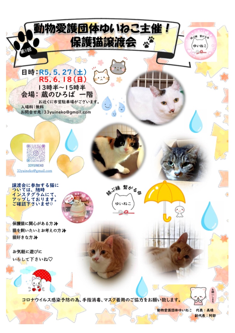 Yuni08573764's tweet photo. ��はよう御座います。
今日も🏥に居ます。。。😮‍💨
しばらくは、週2〜3で通院。😓
今月は21日と27日が譲渡会です。
市内の小・中学校でも、インフルエンザ
が増えています。💦
やっぱりマスクは大事。😷🙏💦

#保護ねこ譲渡会
#保護猫譲渡会
#動物愛護団体ゆいねこ https://t.co/lZ7aeGkqOW